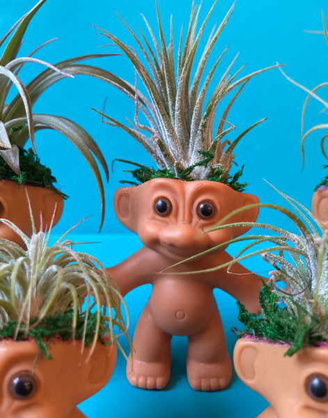 Air Plant Troll