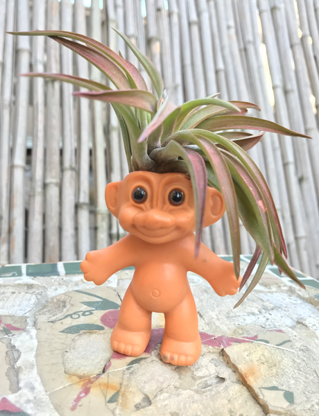 Troll air plant GROWTHEFKUP 